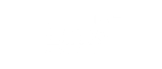 Elmo Motion Control