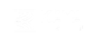 KAYA Vision